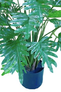 Philodendron artificial plant 75cm