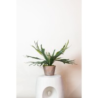 Kunstplant - Staghorn Fern - Hertshoorn - 50 cm