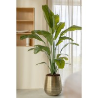 Strelitzia Kunstplant 180cm Deluxe