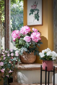 Daan Flowerpot - H18 x Ø19 cm - Light pink