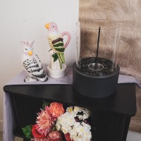 Vase- Cockatoe- Dolomite- Pink/ Green-14.5x10.5x22cm