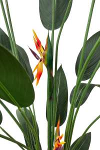 Artificial Strelitzia Plant With Flower 180cm