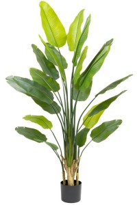 Artificial Strelitzia Plant 210cm