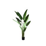 Leaves Plant Green PE Real Touch Strelitzia L