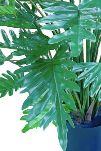 Philodendron artificial plant 75cm