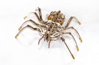 Eco Wood Art 3D Mechanical Wooden Puzzle Spider/Spider, 488, 24x35x10cm