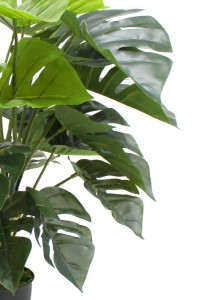 Monstera Artificial plant 65cm