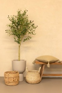 Artificial Olive Tree 150cm