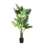 Leaves Plant Green Philodendron In Black Pot L
