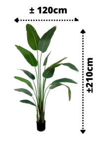 Artificial Strelitzia Plant 210cm