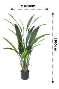 Strelitzia Artificial Plant 160cm