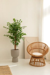 Artificial Ficus 150cm