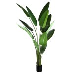 Leaves Plant Green PE Real Touch Strelitzia XL
